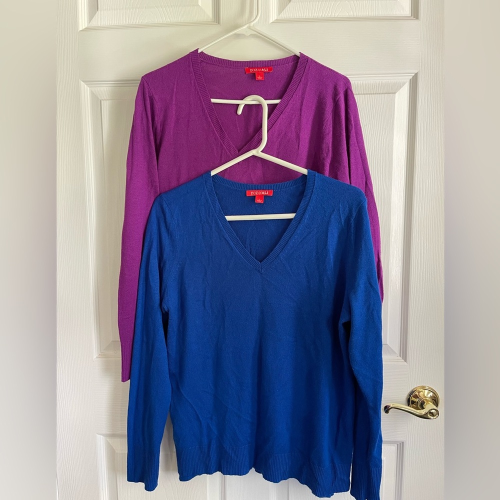 Roz & Ali V-Neck Sweaters in Blue and Purple